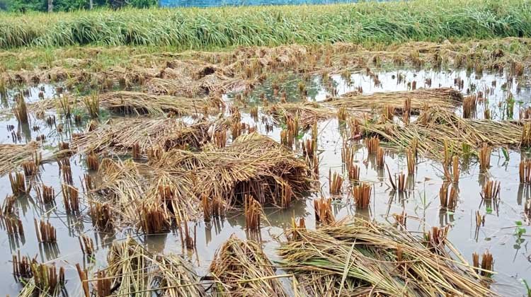 table-post